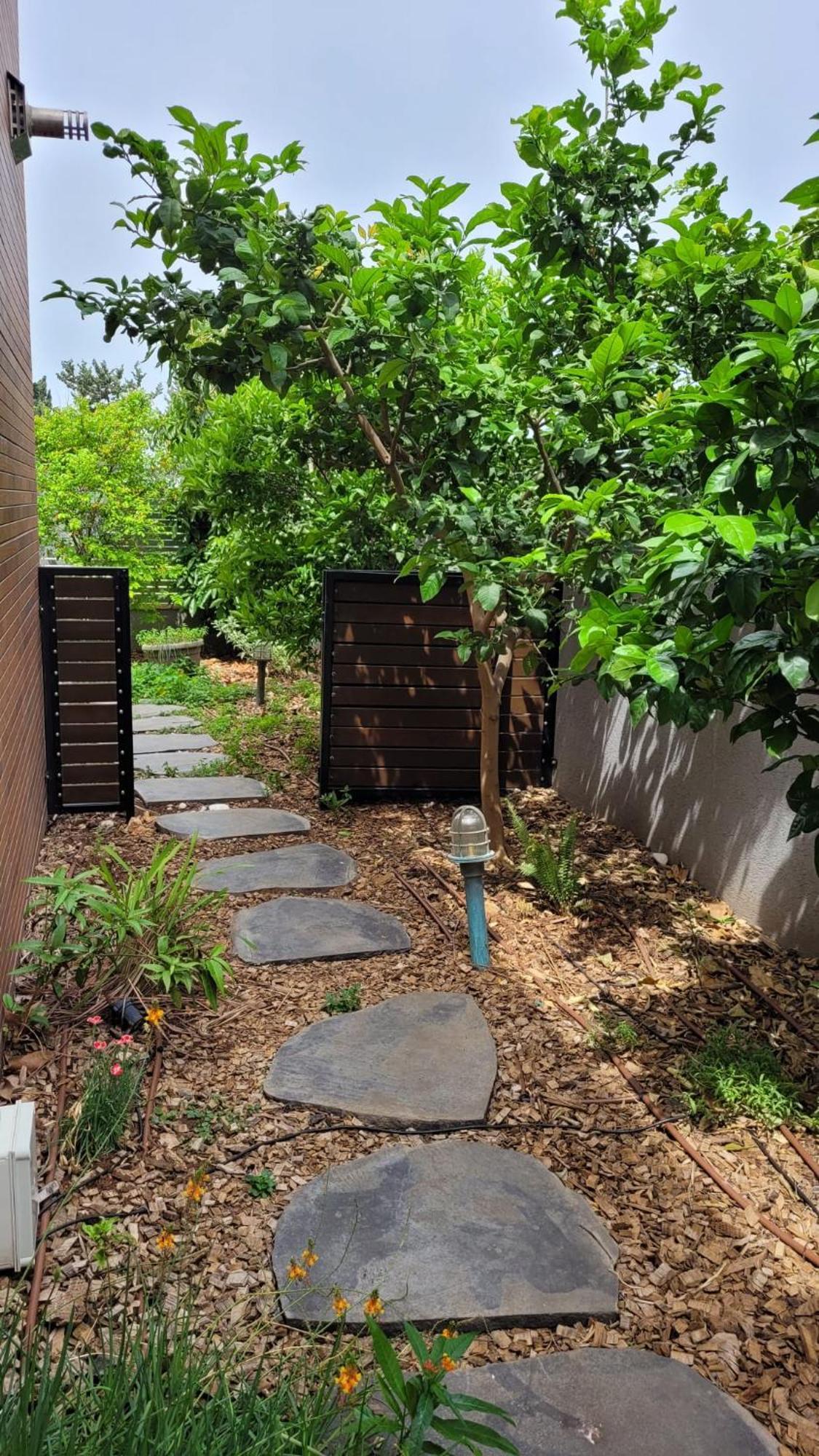 נקודות ריפוי Apartment Tirat Carmel ภายนอก รูปภาพ